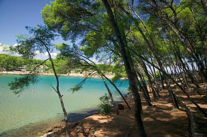 Hotel Hvar Єлса Екстер'єр фото